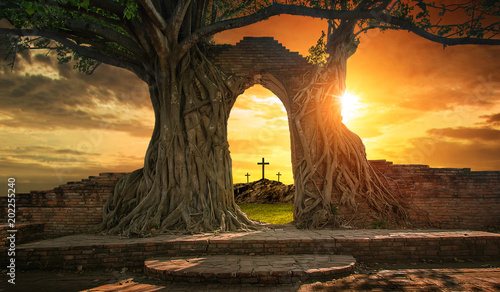 Fotografia Empty tomb with three crosses