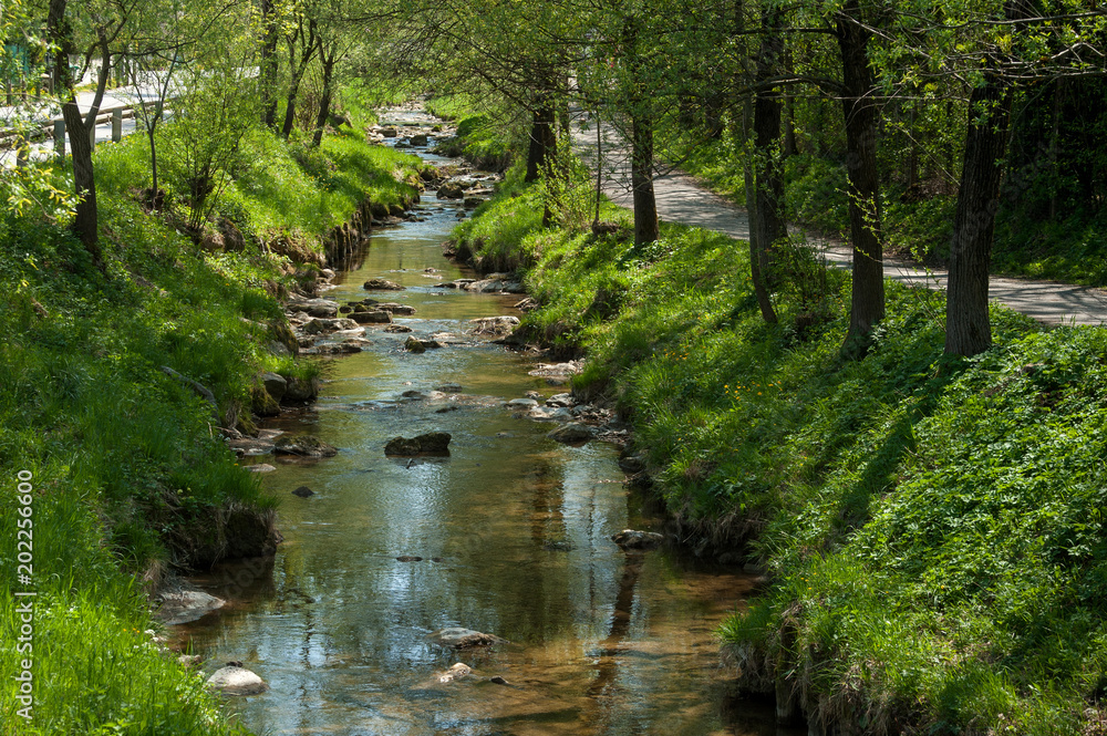 Fototapeta premium Fluss, Salzburg, Alterbach, Natur, Ausflug