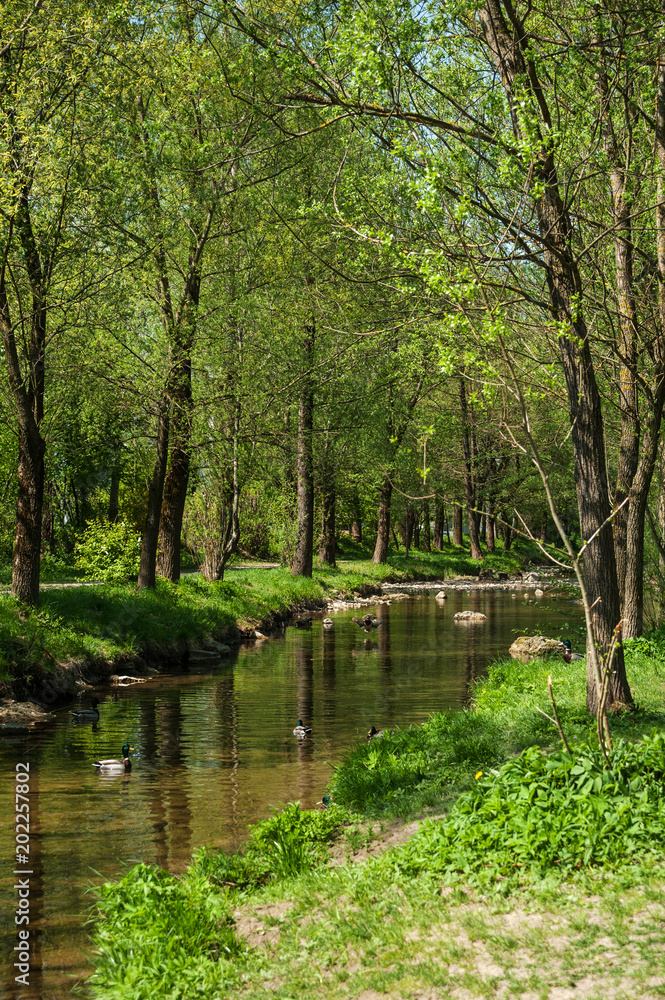 Salzburg, Alterbach, Sommer, Frühling, Österreich Salzburg, Alterbach, Sommer, Frühling, Österreich