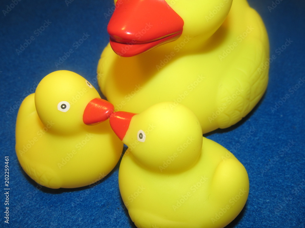 mama and baby rubber ducks Stock Photo | Adobe Stock