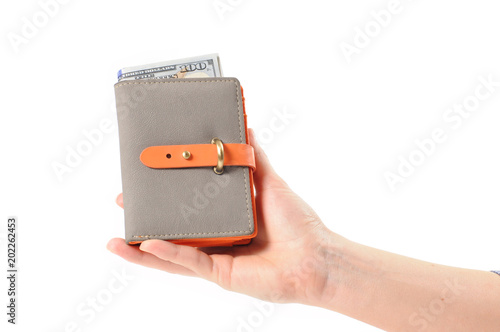 Female hands holding leather wallet