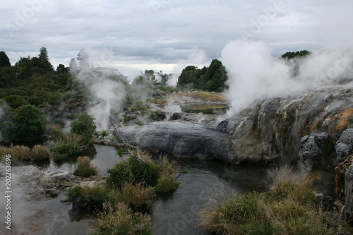 Rotorua geysers