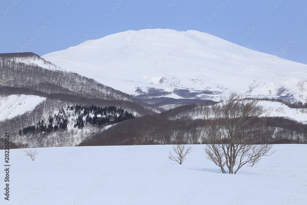 三月の鳥海山　Mt.Chokai of March