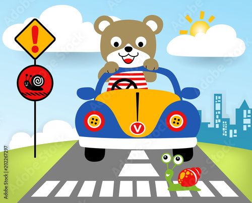 driving in the street city with funny animal at summer  vector cartoon illustration