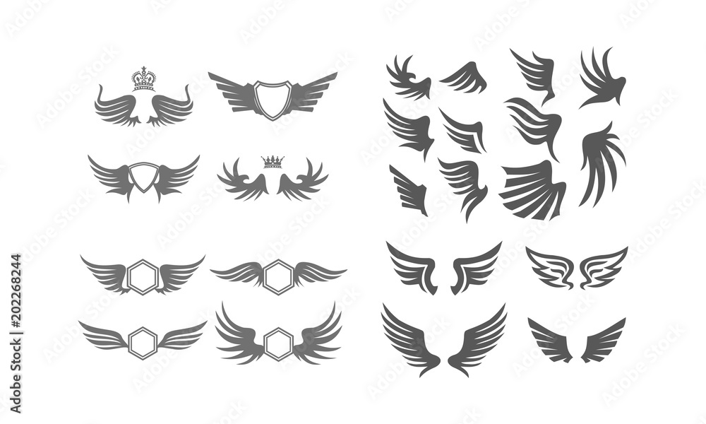 Wing Collection Set Wing Collection Set
