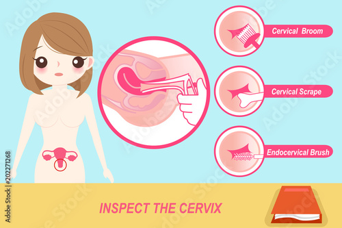 woman with inspect the cervix