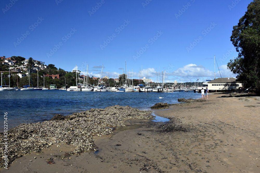 Balgowlah, Australia - Feb 4, 2018. Dog swimming in the water, owners watching him. Yachts at Davis Marina. North Harbour at low tide.