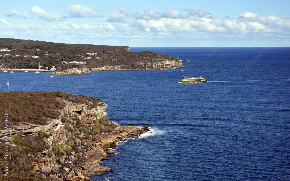 Manly ferry is turning into North Harbour to Manly wharf. North Head view from Dobroyd Head lookout.