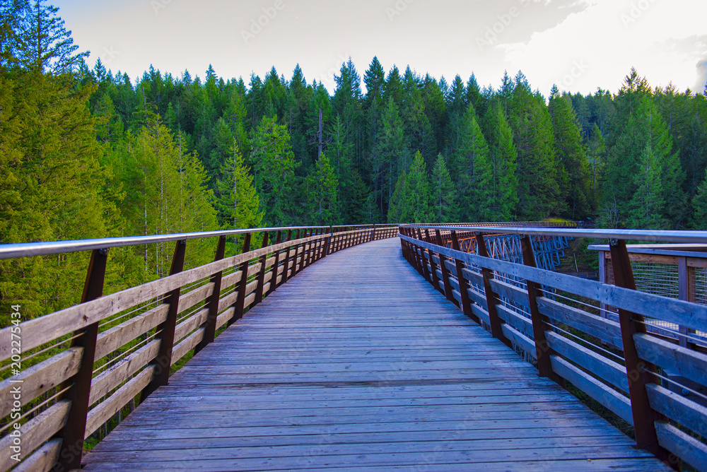 Kinsol Trestle railroad bridge in Vancouver Island, BC Canada. Kinsol Trestle railroad bridge in Vancouver Island, BC Canada.
