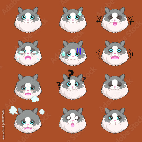 Ragdol Cat Sticker Set photo