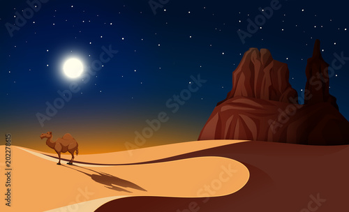 Camel in Desert at Night