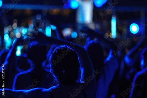 Defocus background audiences enjoy in concert music festival