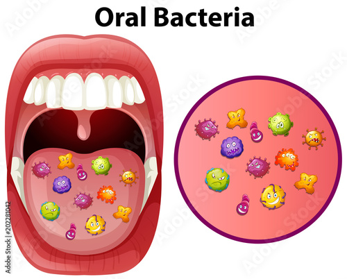 An Image Showing Oral Bacteria