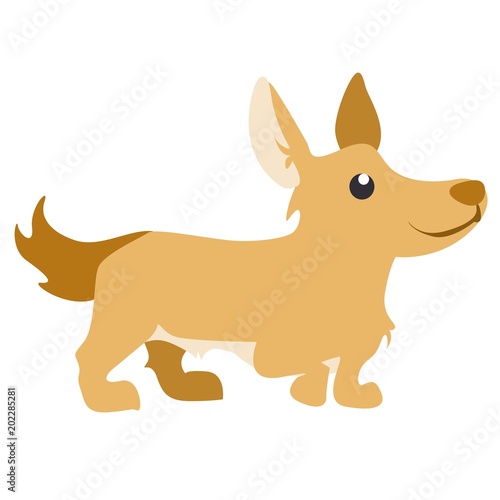 Small cartoon dog breed illustration with white background