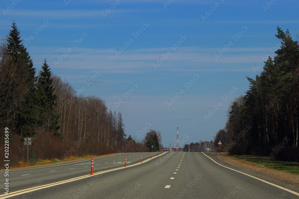 Paved country road with trees on the side, separation fence and road markings in spring against the blue sky
