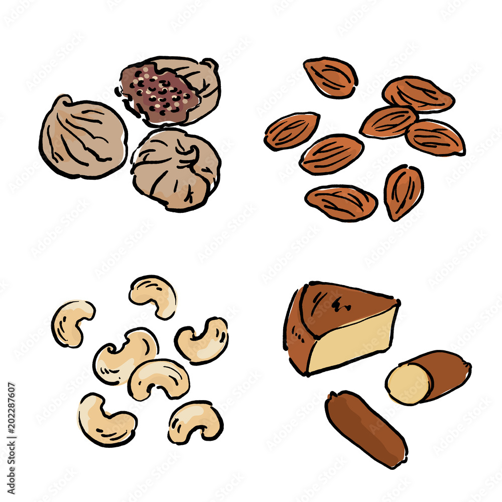 ヘルシースナッキング イラスト Stock Vector Adobe Stock ヘルシースナッキング イラスト Stock Vector Adobe Stock