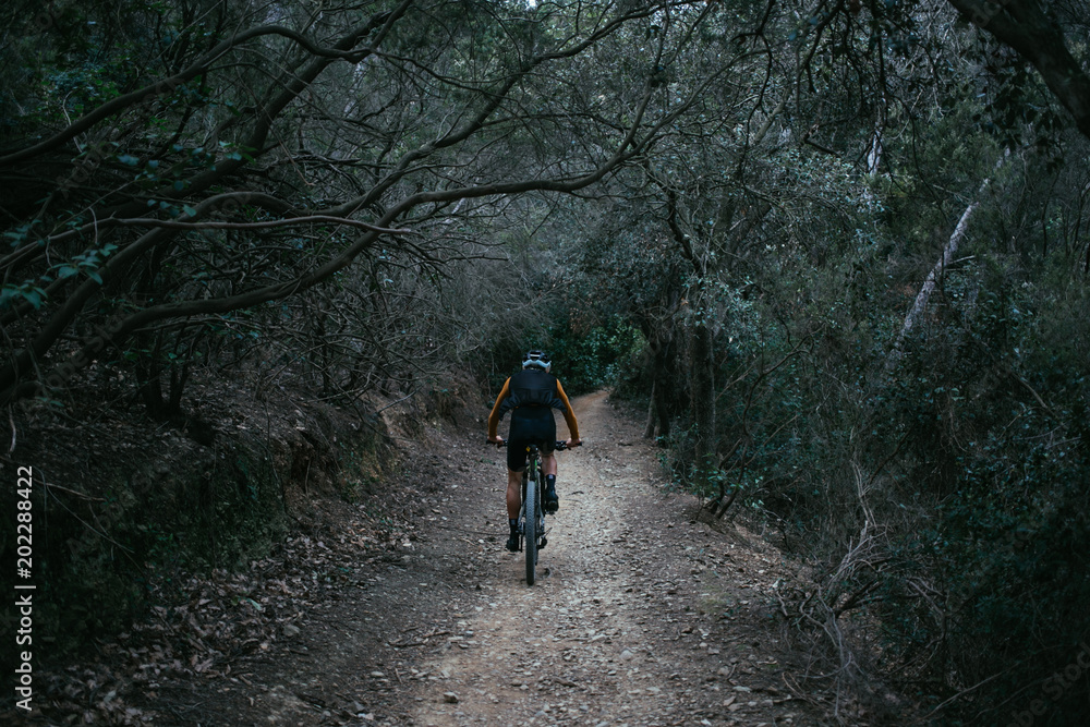 Mountain bike cyclist rides down canopy forest alley or single track trail during training ride. Amazing sports outdoors activity to enjoy nature and get out of city. Lifestyle choice for health