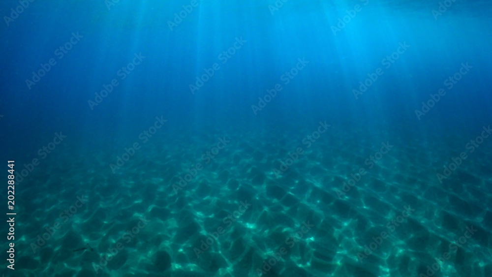 Underwater blue ocean and sandy sea floor