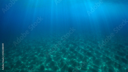 Underwater blue ocean and sandy sea floor
