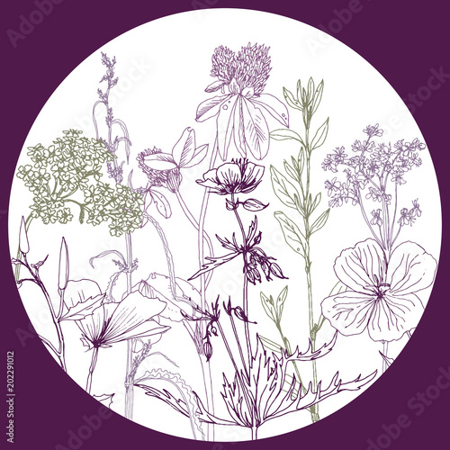 Fototapeta Naklejka Na Ścianę i Meble -  Round template with drawing herbs and flowers