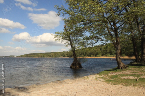 Berliner Havelufer an der Pfaueninsel