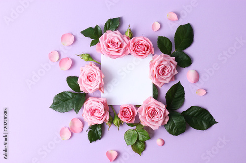 beautiful composition of roses and petals on a pastel background with space for text. minimalism, idea, insta, 