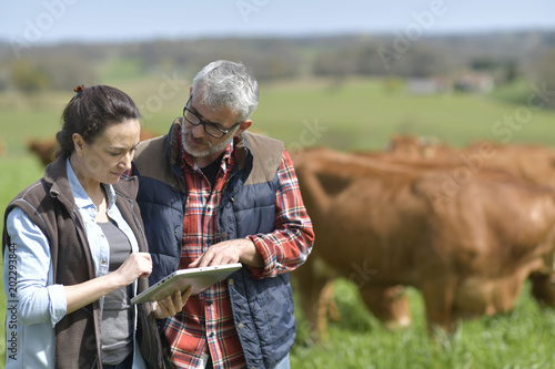 Couple of stock breeders using tablet in field