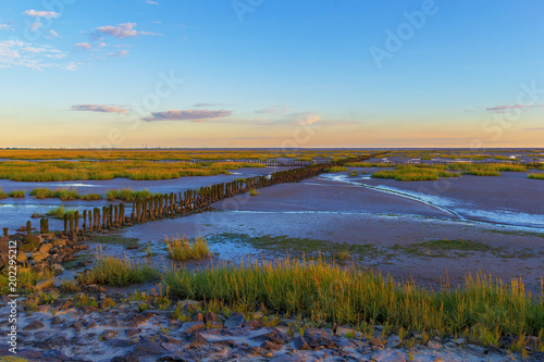 Buhnen im Wattenmeer photo