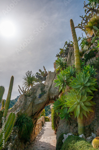 stone arch cactus in botanical garden sea horizon