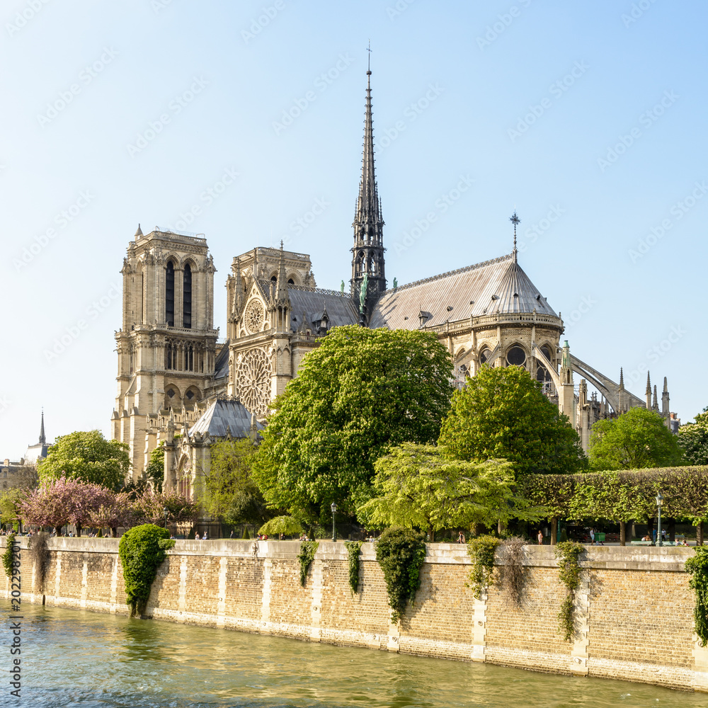 The Notre-Dame de Paris cathedral under a blue sky at the end of a sunny spring day with the river Seine in the foreground and the trees of the John XXIII park.