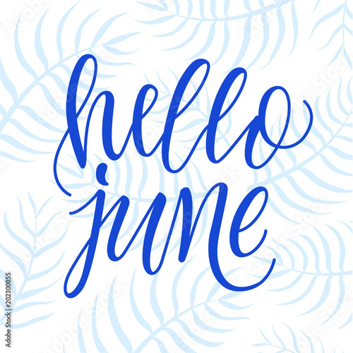 Hello June Modern Calligraphy Phrase On Blue Palm Leaves Background Stock Vector Adobe Stock Hello June Modern Calligraphy Phrase On Blue Palm Leaves Background Stock Vector Adobe Stock