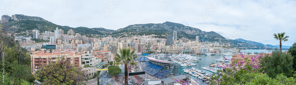 Panorama of Monaco seen from the exotic garden