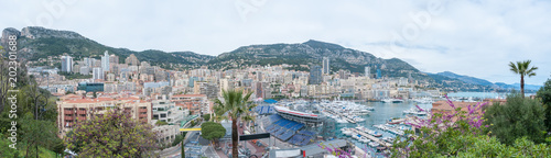 Panorama of Monaco seen from the exotic garden