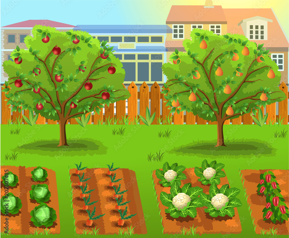 cartoon garden with vegetables and fruit trees Stock Vector | Adobe Stock