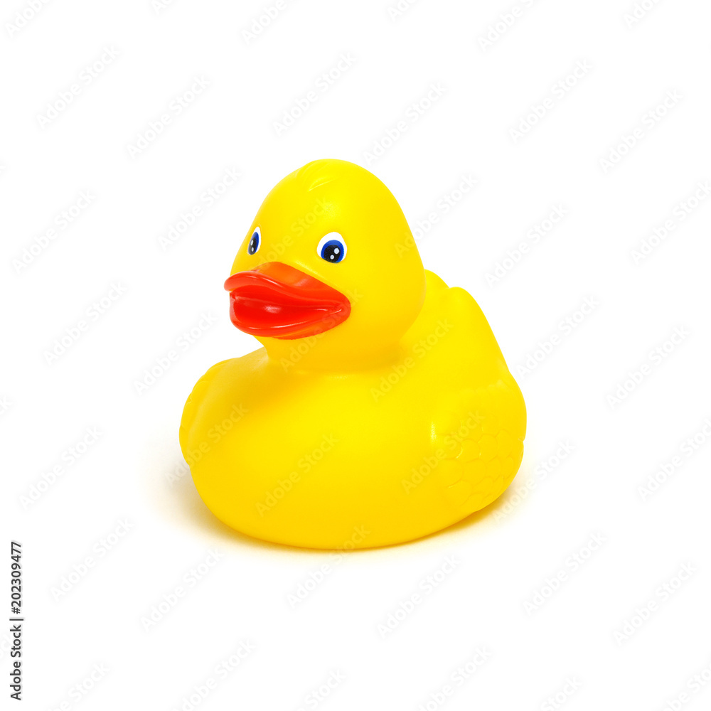 Yellow rubber duck on white Yellow rubber duck on white