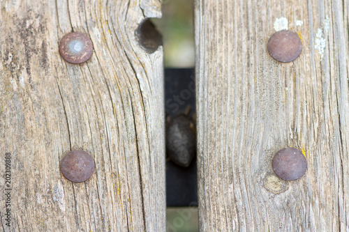 antica porta di legno in italia