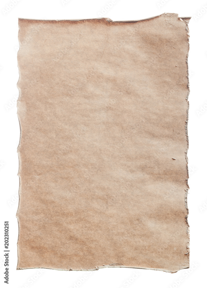 Vintage parchment isolated on white
