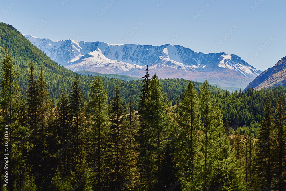 View of the snow-covered North-Chuya range in the Altai mountains, Siberia, Russia