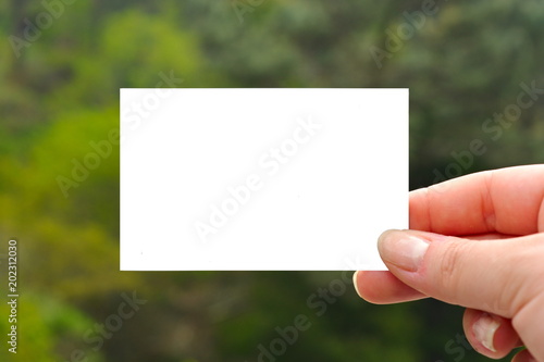 Hand of a woman holding a blank space for advertising, card or photograph