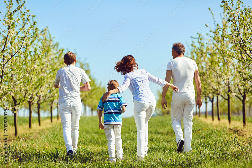 Happy family walks in the garden in spring, summer. Back view. Mother, father and sons in nature. Happy family walks in the garden in spring, summer. Back view. Mother, father and sons in nature.