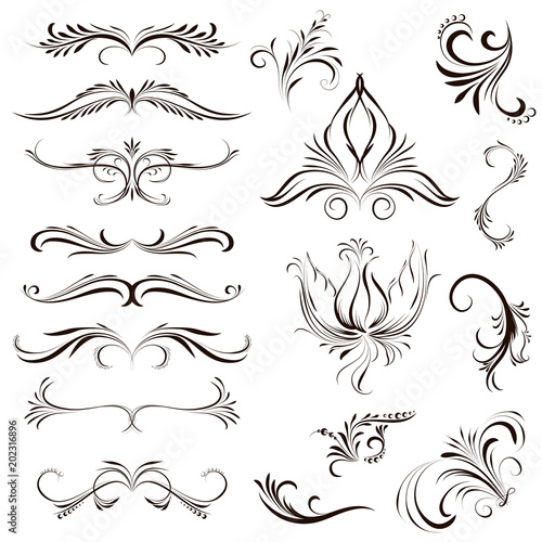 Set of calligraphic element. Beautiful ornament, flowers, elements for a frame, dividers, filigree decoration, curls, vector, isolated on a white background