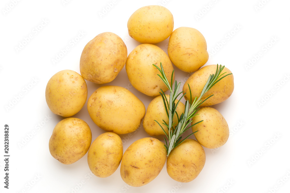 New potato and rosemarin isolated on white background close up. New potato and rosemarin isolated on white background close up.