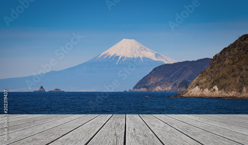 Mt. Fuji and sea in summer seen from Izu city photo