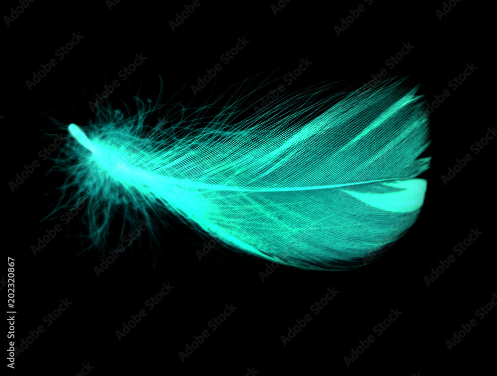 Naklejka premium Niebieskie pióro na czarnym tle