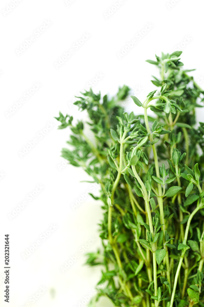 Macro image of bunch of fresh thyme on white background. Selective focus Macro image of bunch of fresh thyme on white background. Selective focus