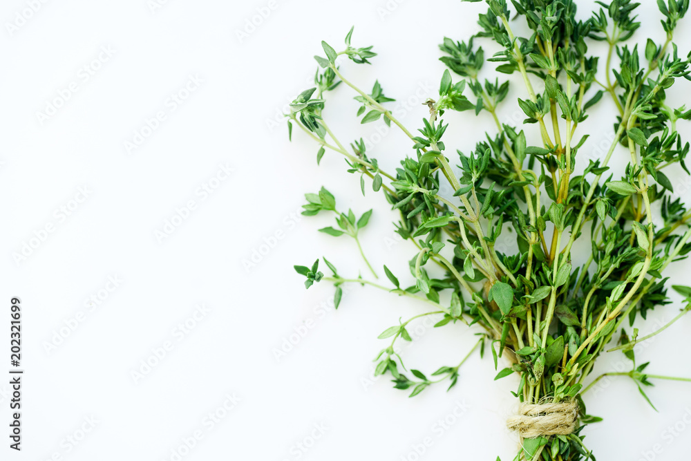 Bouquet of fresh thyme twigs on white background with copy space