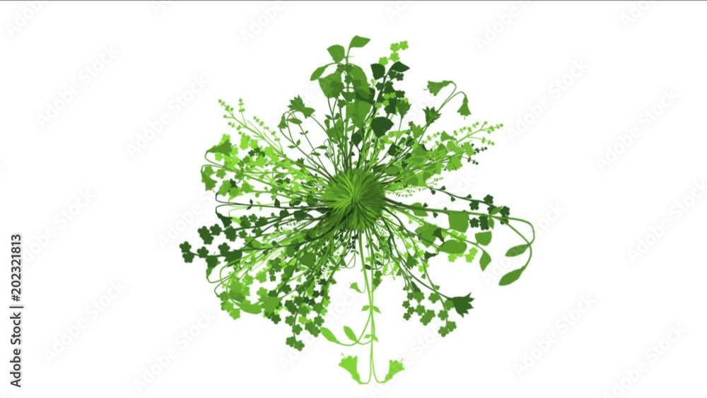 4k lush flower leaves crops shrubs bushes plant grass growing. 4k lush flower leaves crops shrubs bushes plant grass growing.