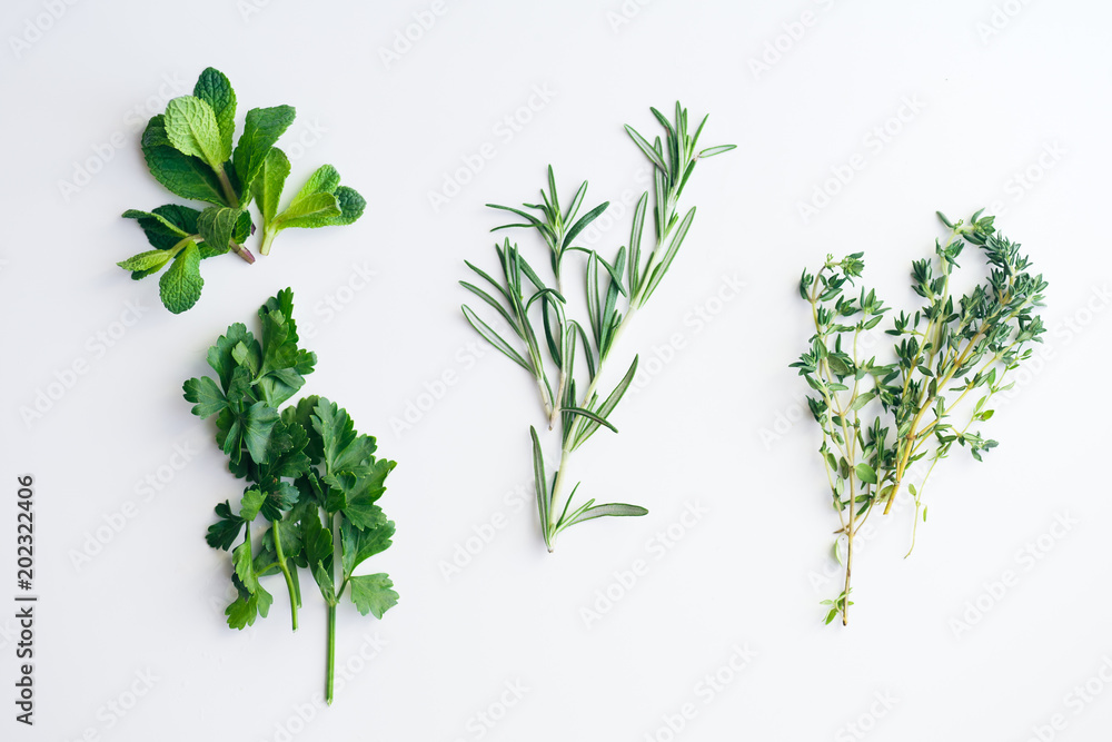 Fresh herbs on white background: rosemary, thyme, mint and parsley in small bunches isolated