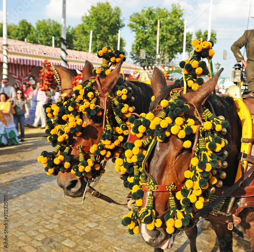 Horses carriage for a ride through the Fair April, Fair in Seville, Feast in Spain © joserpizarro