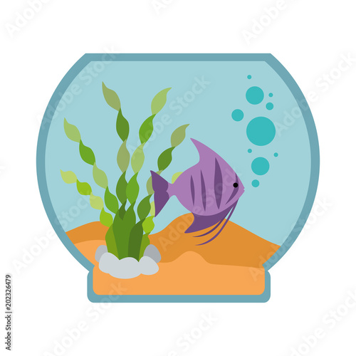 aquarium bowl with colors fish vector illustration design